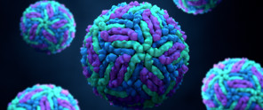 detailweergave dengue virus