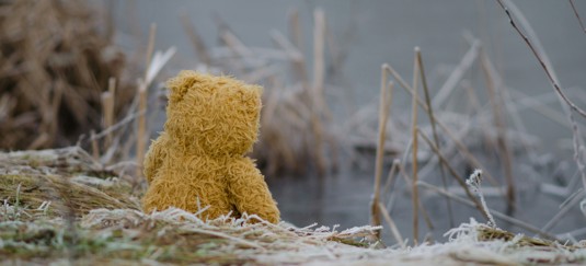 Een gele knuffelbeer kijkt treurig naar een kalm, spiegelend wateroppervlak tussen dorre rietplanten.