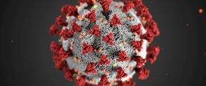 3D-weergave van het coronavirus met rode uitsteeksels op een grijze achtergrond, die de structuur van het virus toont.
